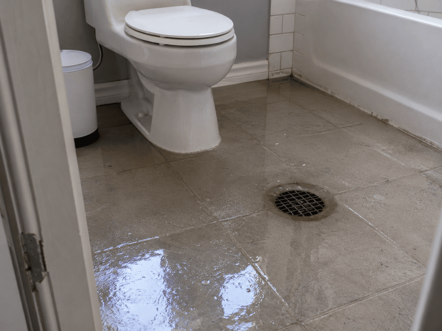 Blocked Drains & Toilets — emergency plumbing in Nueva Andalucía