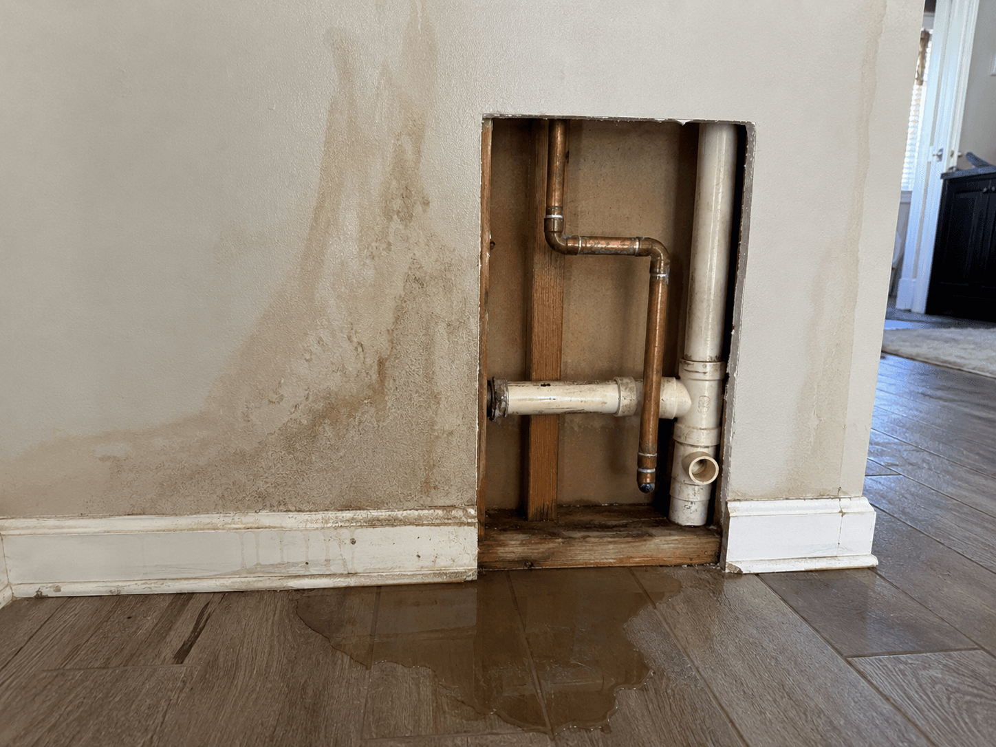 Leak Detection & Water Lines — emergency plumbing in Nueva Andalucía
